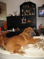 /album/fotogaleria/art-dom-w-jpg/